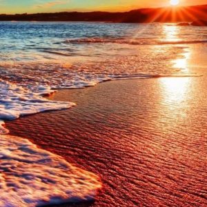 Acrylic Canvas Painting, Hand-painted Artwork